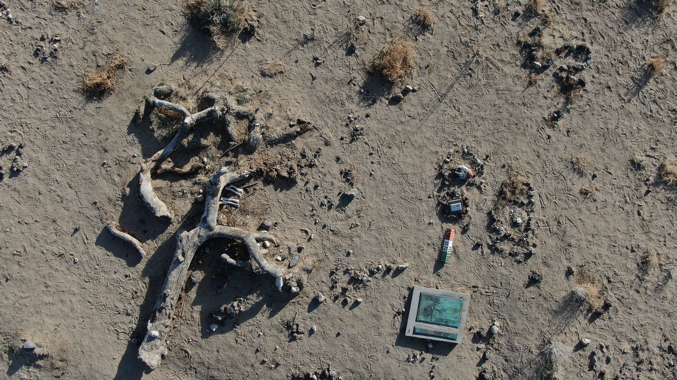 Aerial view of the site
